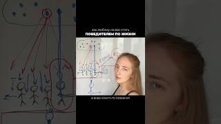 Как стать ПОБЕДИТЕЛЕМ ПО ЖИЗНИ