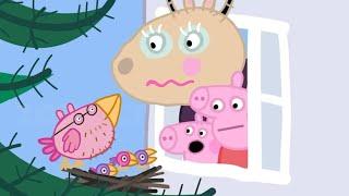 PEPPA PIG TRY NOT TO LAUGH