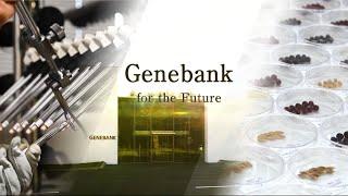 Genebank for the Future（Full version, 15 Min.）