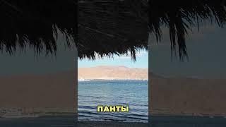 Сумасшедшие цены на отдых в Израиле  #израиль #жизньвизраиле