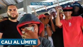 Testigo Directo revela los secretos de las pandillas más temidas de Cali