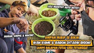 GAK DIKASIH NAFAS! BETOT LELE2 BABON PAKE DAIDO BLACK BISON UMPAN TRAUMA MALAH BIKIN BAHAGIA!