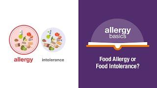 Food Allergy or Food Intolerance? | Allergy Insider