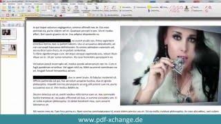 PDF-XChange Editor - Zensur, Text schwärzen