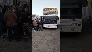 москва-бухара автобус прямой рейс москва-ташкент автобус