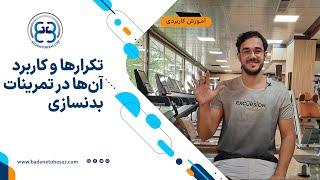 تکرارها و کاربرد ‌آنها در تمرینات بدنسازی 