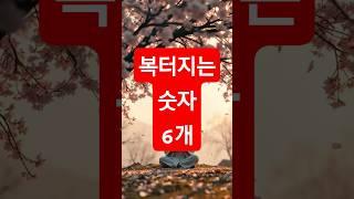 지금 복이 몰리는 숫자 6개… 재미로 보는 철학