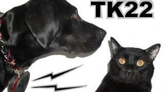 Talking Kitty Cat 22- Dogs Can't Talk