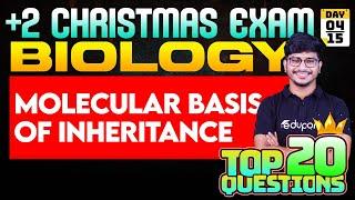 Plus Two Christmas Exam | Biology - 5. Molecular Basis of Inheritance | Eduport