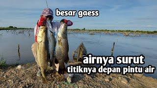 casting kakap putih - LURE KILLER FLUTTERSTICK 7CM