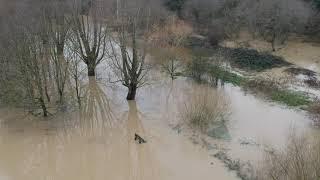 Mardyke in Flood - 15th Jan 2021