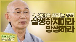 [#정말잘돼] 4."생명을 살리는 공덕"_살생하지마라, 방생하라 | 법안스님 #오계십선업