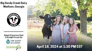 Big Sandy Creek Dairy - Adopt A Cow Live Chat 2024