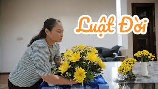 LUẬT ĐỜI || HOÀNG MINH || DIỆU THUẬN || COVER || #dieuthuan, #nhạcphật #nhạcphậtgiáo #nhachaymoingay