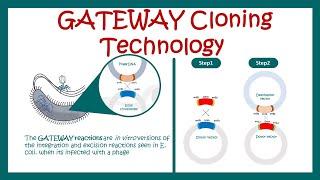 Gateway cloning | How does Gateway cloning work? | What are the advantages of Gateway cloning? |