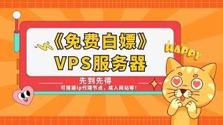 【免费白嫖 VPS 服务器】不限流量，先到先得，轻松搭建IP代理节点、网站！黑五超大优惠！超高性价比服务器你不能错过！