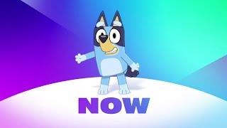 Disney Junior United States - NOW - Bluey (2024 Rebrand)