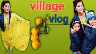 \|| village vlog ️ ||