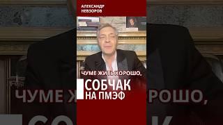 Чрезвычайная миссия Собчак на ПМЭФ #невзоров