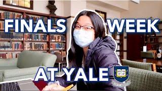 Finals Week at Yale University 2021 | Freshman Year