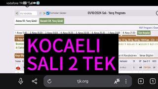 1 Ekim 2024 Salı Kocaeli at yarışı tahminleri Kocaeli altılı ganyan tahminleri | Oğulcan Karaca