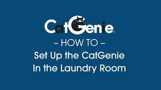 CatGenie Installation: How to Set Up The CatGenie In The Laundry Room