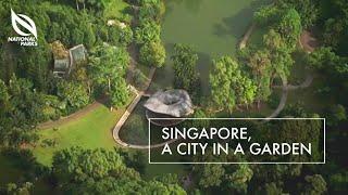 Singapore, A City In A Garden