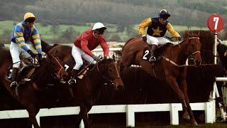 Richard Dunwoody: The Perfect Article - A National Hunt Legend