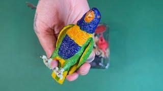 Wild Animals | lorikeet | gibbon | animal toys | lion | the darling toy house