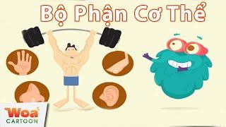 Khám Phá Các Bộ Phận Trên Cơ Thể Người | Phim Hoạt Hình Mới 2020 | Hoạt Hình Khoa Học Hay Nhất