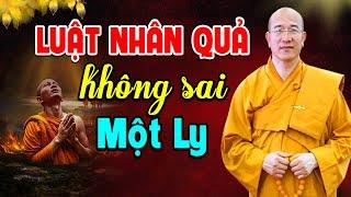 Câu Chuyện Luật Nhân Quả Nhiệm Mầu Khiến Ai Cũng Giật Mình | Thầy Thích Trúc Thái Minh Giảng Giải