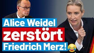 Gnadenlos mit dem Klartext-Hammer gegen Merz! Alice Weidel in Bestform - AfD-Fraktion im Bundestag