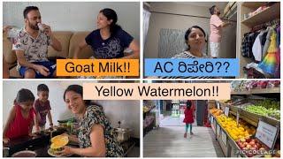 ACಯಿಂದ Tension ಜಾಸ್ತಿ ಆಯ್ತು!! First time tasting Goat milk! (3 ದಿನದ vlog) |WinDreamz| Kannada vlogs