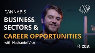 Cannabis Business Sectors and Career Opportunities