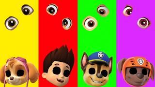 Wrong eyes challenge DAME TU COSITA Paw Patrol Funny Puzzle Wrong Heads