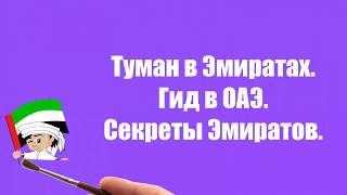 Туман в Эмиратах|Аномальный туман|Гид в ОАЭ|Секреты Эмиратов| влог