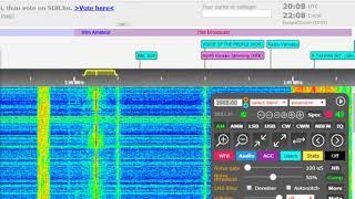 Elvis Radio International 3905 khz 20 utc 8 September 2019