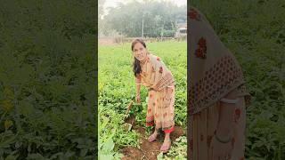 Original voice khortha video #mamta #shorts #viral #trending #funny #comedy #khortha #vlog