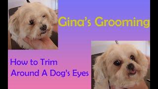 How To Trim Around A Dog’s Eyes – Gina’s Grooming