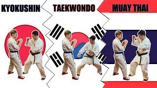 FIGHTING STANCE | Taekwondo vs Muay Thai vs Kyokushin Karate | PROS & CONS