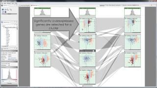 Characterizing Cancer Subtypes using the Dual Analysis Approach in Caleydo StratomeX