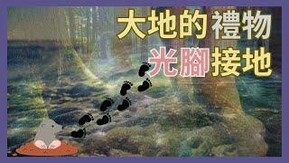 找回失去的地球連結、重新接地、為身體充電｜ 最好的抗氧化劑、粒線體健康、中和自由基、改善失眠