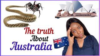 AUSTRALIA IS FULL OF SNAKES AND  GIANT SPIDERS ️ | WATCH THIS BEFORE MOVING TO AUSTRALIA | Q & A