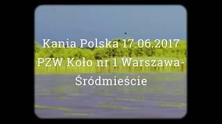 Wędkarstwo gruntowe (feeder) Kania Polska 17.06.2017 - PZW Koło nr 1 Warszawa-Śródmieście