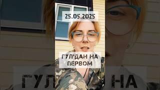 Дождались ‼️ #собака #волк #волкособ