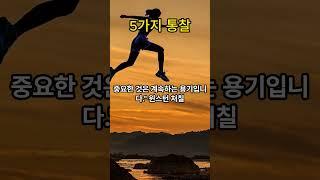 5가지 통찰 #마음 #통찰#철학#인생#명언#동기부여#인생철학#삶#지혜 # shorts