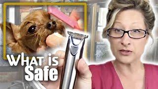 DOG GROOMING TIPS Groom your DOG at HOME