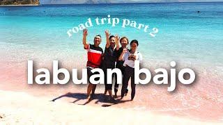 Pertama kali ke Labuan Bajo!  | Road trip vlog part 2