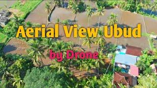 Aerial view Ubud Bali by Drone ️