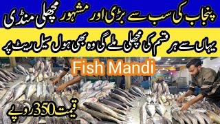 Biggest Fish Wholesale Market In Pakistan | Fish Mandi in Rawalpindi |Low price Fish Market